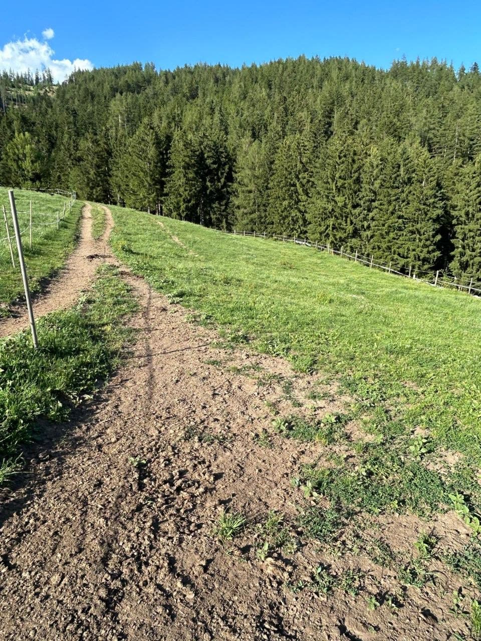 Wege und Reitwege rund um den Reiterhof Kern in Traboch