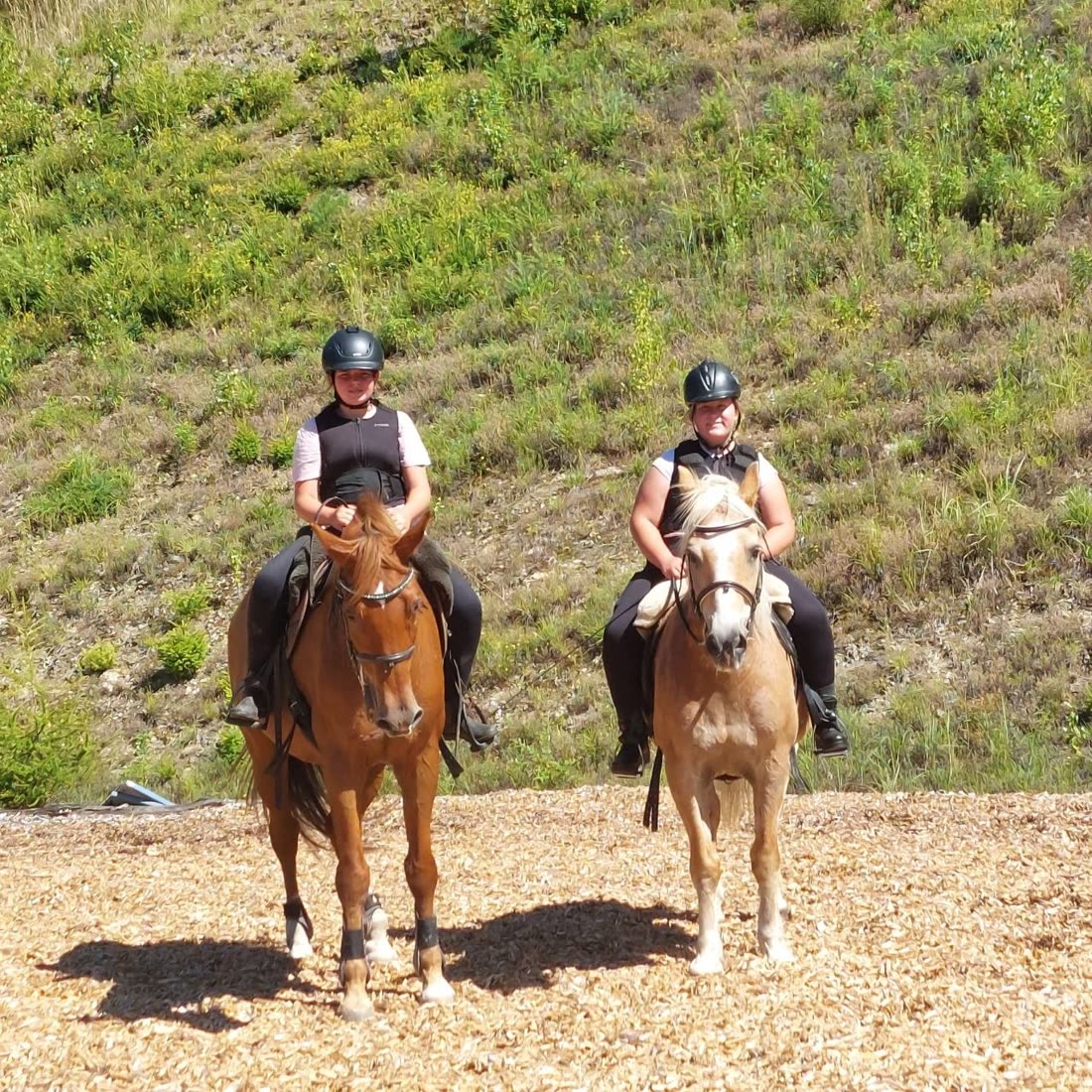 Reitstunde im Viereck am Reiterhof Kern in Traboch