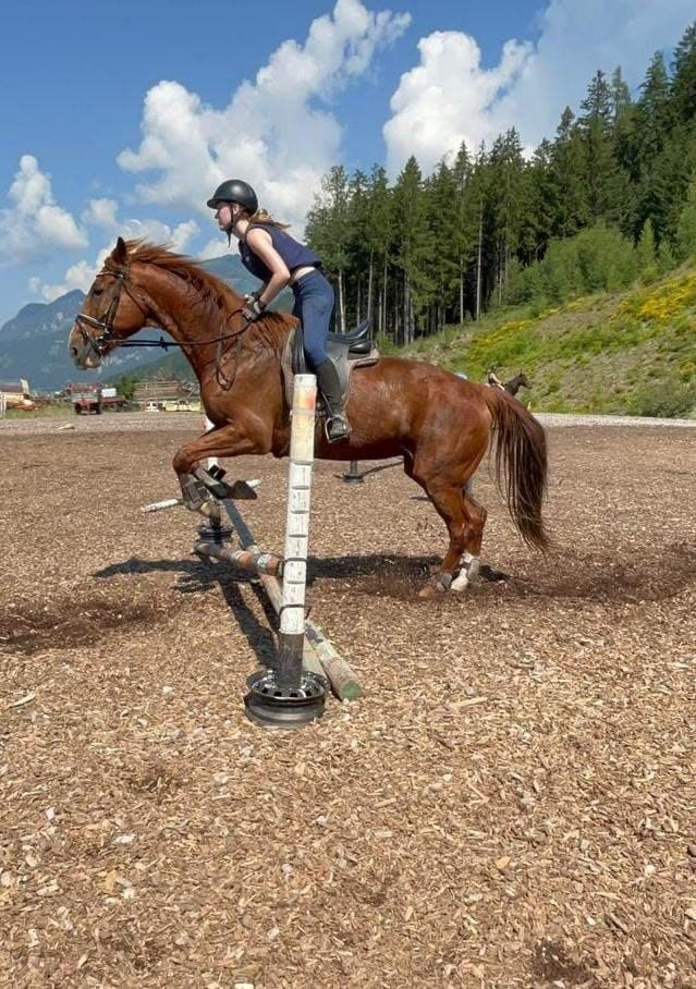 Reitunterricht am Reitplatz des Reiterhof Kern